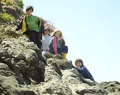 Four Kids on Rock