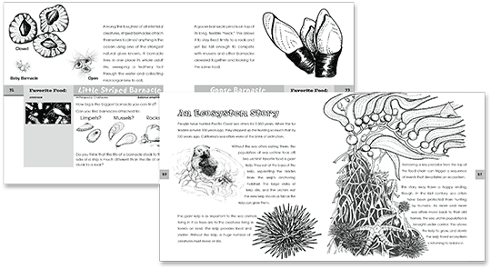 Thumbnails of two pages from the book Exploring Low Tide in Northern California
