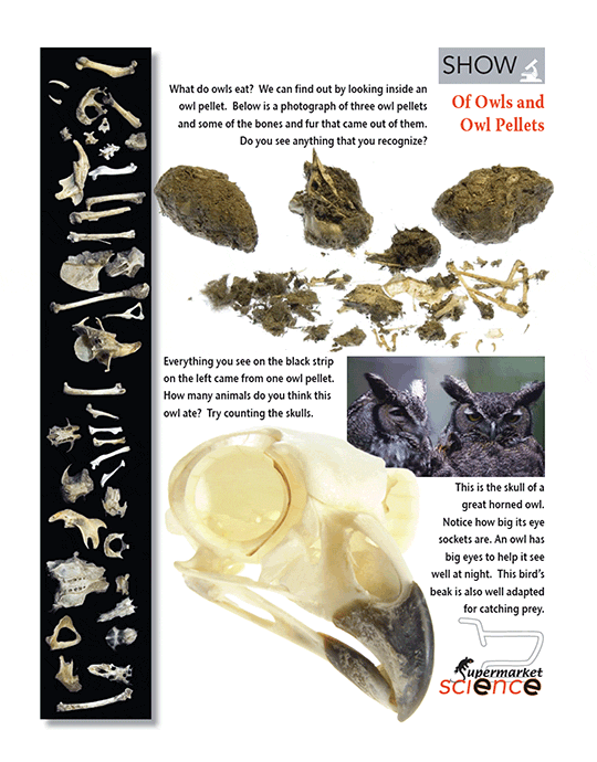 Supermarket Science Page - Owl Pellets