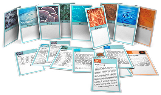 Patterns of Nature Cards
