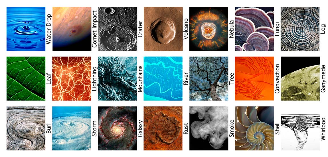 Images from the Patterns of Nature card set.