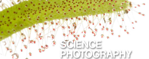 Science Photography
