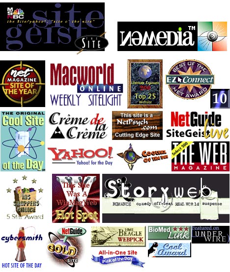 Some of the awards won by The Company Therapist during its three year run.