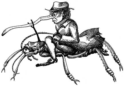 Helen Gregory's world is filled with little beetle-like men who conspire against her.